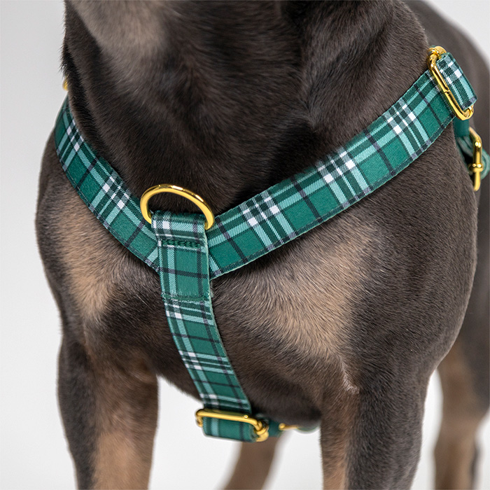 Silly Goose - Easy-On™ Harness