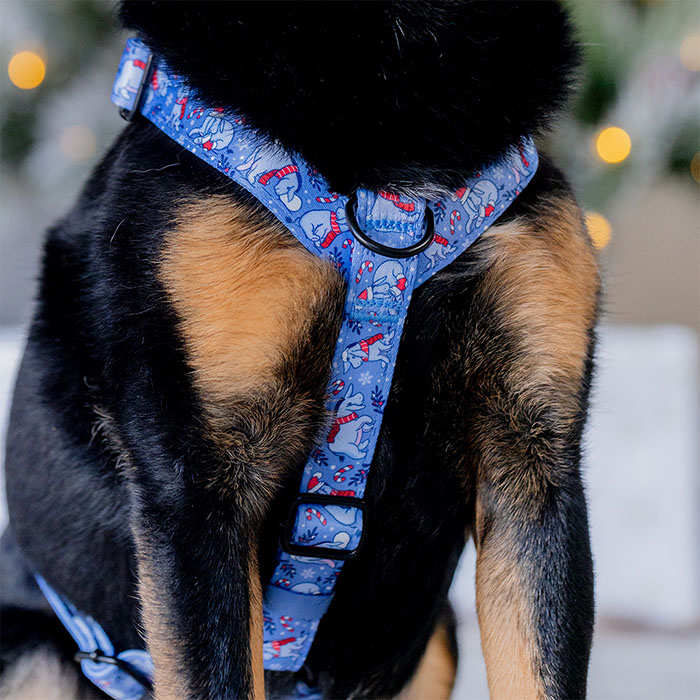 Midnight Moths - Motion™ Harness