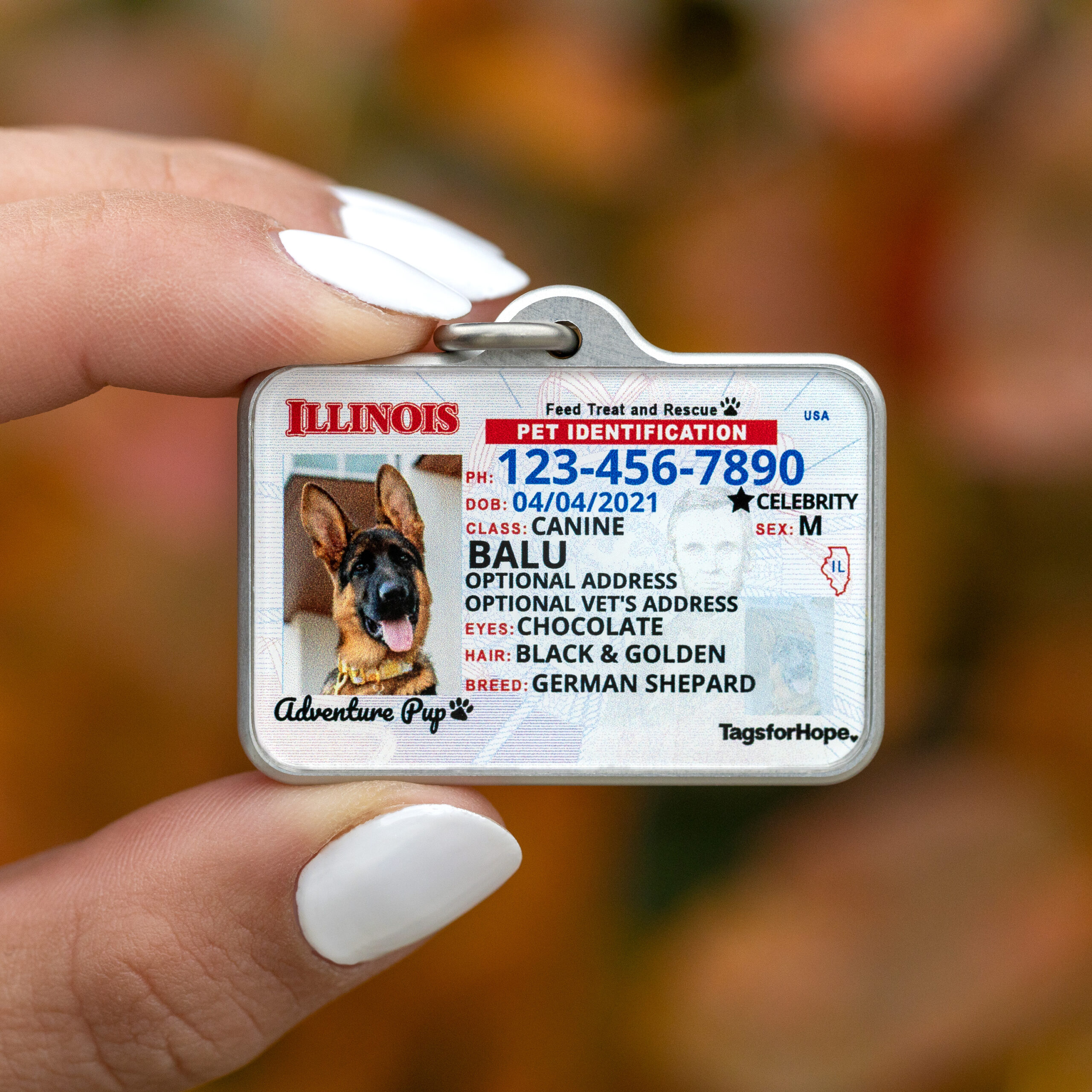 Dog id tags cheap that look like license