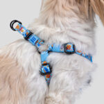 Dog modeling the eazy-on harness